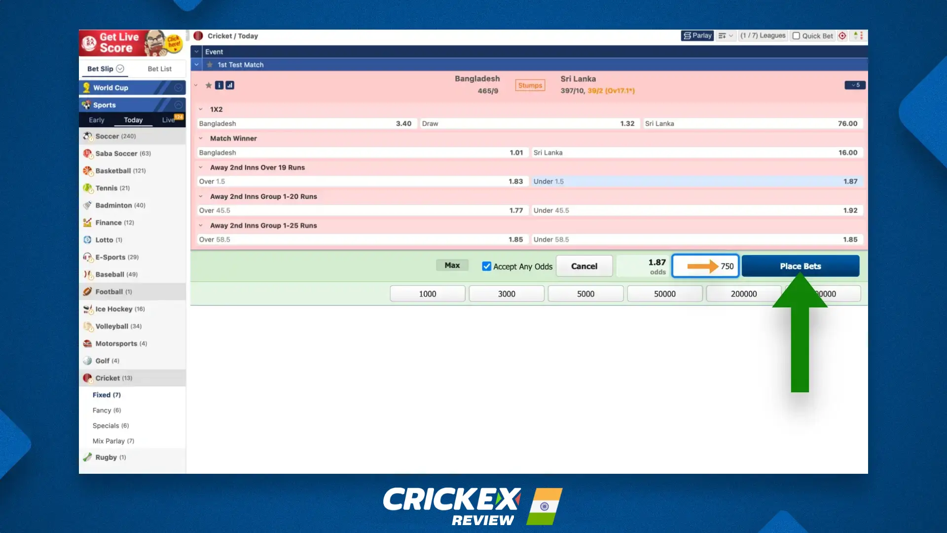 Place bets on a variety of sports at Crickex