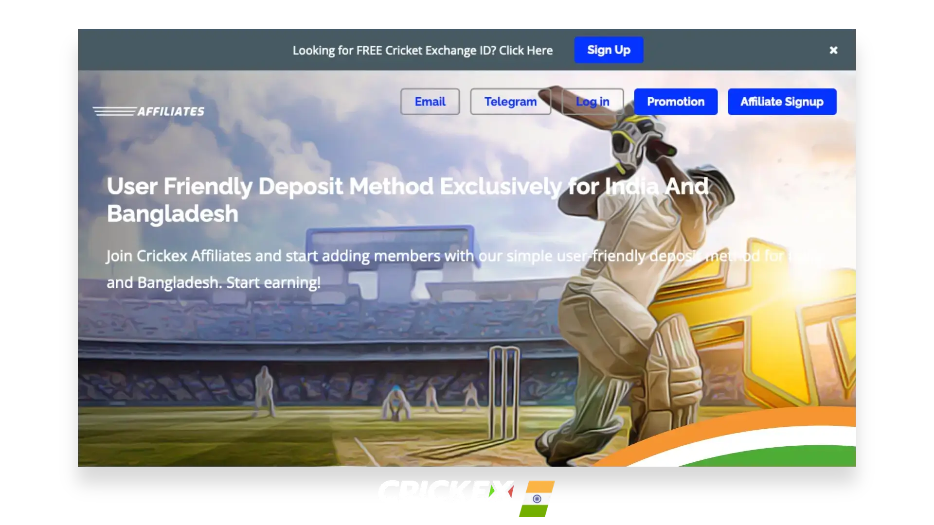 Detailed information about the Crickex partner program